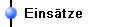 Eins�tze